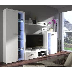 Dnevni regal RUBA 2 . Dnevni regal RUBA 2 je moderno oblikovan in elegantnega videza. Dnevni regal je izdelan v EU. Dimenzije regala so: 270 cm x 190 cm x 42,5