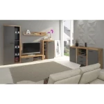 Dnevni regal RUBA 5 . Dnevni regal RUBA 4 je moderno oblikovan in elegantnega videza. Dnevni regal je izdelan v EU. Barva: - hrast / grafit siva Dimenzije TV