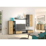 Dnevni regal SAMY . Dnevni regal SAMY je moderen sestav za dnevno sobo, primeren za v vsako hišo ali stanovanje. Narejen je iz kvalitetne laminirane plošče.