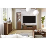 Dnevni regal SVEN . Dnevni regal SVEN je mozaik okusa, stila in šika, ki bo pritegnil še tako zahtevne kupce. Klasičen antracit je obogaten z zlatimi ABS