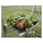 DODATNA KOVINSKA POLICA ZA RASTLINJAK PALRAM - slika 8