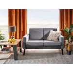 Dvosed DARI, je eleganten kos pohištva, ki popestri vaš prostor. Narejen je iz žametne tkanine, kar zagotavlja prijeten počitek in sedenje. Nogice so iz