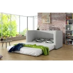 Dvosed EMA 2 črna . Dvosed EMA 2 siva z rokonaslonom je primeren za vsak prostor, kjer potrebujete dodatno ležišče. Je zelo ekonomičen saj ga lahko v hipu