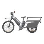 ELEKTRIČNO KOLO A DECE OASIS OASIS 261T TOVORNO E-KOLO Z DVEMA BATERIJAMA, SIV - slika 7