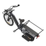 ELEKTRIČNO KOLO A DECE OASIS OASIS 261T TOVORNO E-KOLO Z DVEMA BATERIJAMA, SIV - slika 9