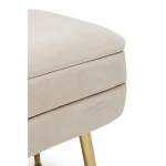 Enojna klop PAVLINA bež . Enojna klop PAVLINA je eleganten kos pohištva, ki popestri vaš prostor. Njen poseben dizajn vas bo navdušil, saj prinese vašemu