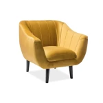 Fotelj BERN . Moderen fotelj BERN je prava izbira za popestritev vašega dnevnega prostora. Nogice so iz lesene, v wenge barvi, sedež pa je iz žametnega