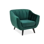 Fotelj BERN . Moderen fotelj BERN je prava izbira za popestritev vašega dnevnega prostora. Nogice so iz lesene, v wenge barvi, sedež pa je iz žametnega