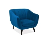 Fotelj BERN . Moderen fotelj BERN je prava izbira za popestritev vašega dnevnega prostora. Nogice so iz lesene, v wenge barvi, sedež pa je iz žametnega