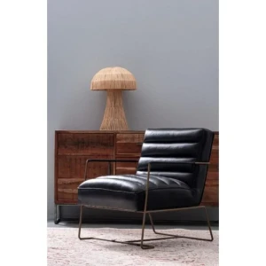 Fotelj BRIANNA črna . Fotelj BRIANNA je dobavljiv v črni barvi. Okvir je kovinski, sedež je oblečen v umetno usnje, kar zagotavlja udobnost in eleganco.