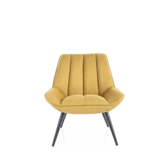 Fotelj SOPIJA . Fotelj SOPIJA, je eleganten in kakovosten kos pohištva. Narejen je iz blaga, kar zagotavlja mehko in udobno sedišče. Primeren je za vsak