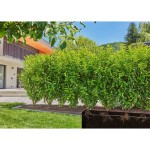 GARNITURA ZA ZALIVANJE GARDENA MD NAMAKALNI SET ZA ŽIVE MEJE 50M - slika 6