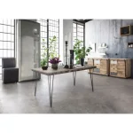 Jedilna miza ATLANTIDE 160X90 . Jedilna miza ATLANTIDE je sestavljena iz kovinskega okvirja starinskega izgleda, mizna plošča je iz MDF-ja in stekla.