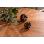 Jedilna miza IRENEJA - slika 7