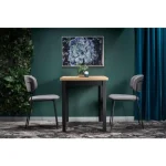 Jedilna miza KOBI . Jedilna miza KOBI je narejena iz furnirja. Je vsestransko uporabna lesena miza, za katero lahko sedijo do štiri osebe. Dimenzije: - D: 120