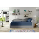 Kavč EGA 3 . Kavč EGA 3 moderne oblike. Primeren je za vsak prostor še posebej za mladinske in dnevne sobe. Dobavljiv je v več barvnih kombinacijah. Je