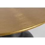 Klubska miza ALOPA s svojim glamuroznim izgledom prinese kanček elegance v vsak prostor, ne glede na to ali je to vaša spalnica, dnena soba, hotel ali