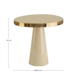 Klubska miza NANDIKA D51 taupe je visokokakovostna in elegantna mizica, ki se poda v vsak prostor. Ima kovinski okvir ter zgornji rob z medeninastim