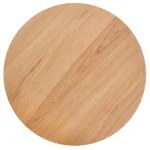 Klubska miza RORY je odlično oblikovana in posebnega videza. Popestrila bo vašo dnevno sobo. Plošča mize je iz furnirja, podnožje pa iz polipropilena.