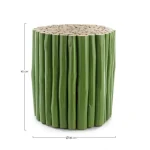 Klubska mizica GUADALUPE zelena . Klubska mizica GUADALUPE je narejena iz visokokakovostnih tikovih vej. Njen umetniški dizajn se odlično poda v vsak