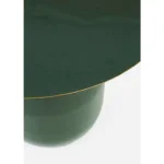 Klubska mizica NALIMA D50 zelena . Klubska mizica NALIMA D50 zelena je moderna in elegantna okrogla miza s premerom 50 cm, ki v vsak prostor prinese svežino