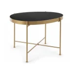 Klubska mizica RASHIDA 63x46 zlata se odlično poda v vsak prostor. Narejena je iz kovine in ima steklen vrh. Kombinacija črne in zlate barve prinaša