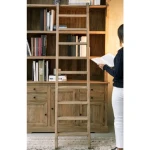 Knjižna omara DOMITILLE . Knjižna omara DOMITILLE, je eleganten kos pohištva, ki popestri vaš prostor. Njen poseben dizajn vas bo navdušil, saj prinese