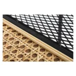 Knjižna omara ELYOT 3P . Knjižna omara ELYOT 3P ima jekleno ogrodje in ratan kombinacijo. Samo za interno uporabo. Material: - Jeklo - Ratan Barva: - Črna