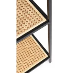 Knjižna omara ELYOT 4P . Knjižna omara ELYOT 4P ima kovinsko ogrodje in ratan kombinacijo. Samo za interno uporabo. Material: - Kovina - Ratan Barva: - Črna