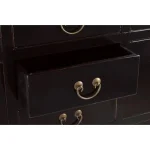 Komoda 4A-5C JINAN črna . Komoda 4A-5C JINAN je eleganten kos pohištva, ki popestri vaš prostor. Njen poseben dizajn vas bo navdušil, saj prinese vašemu