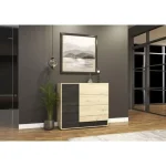 Komoda LAVA . Komoda LAVA je primerna za vsako spalnico ali dnevno sobo. Odlično se poda h vsakemu stilu. Narejena je iz laminirane plošče debeline 16 mm,