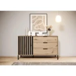 Komoda TINAJA . Elegantna in moderna komoda TINAJA je eleganten kos pohištva, ki popestri vaš prostor. Njen poseben dizajn vas bo navdušil, saj prinese