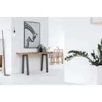 Konzola ARON . Konzola ARON, je eleganten kos pohištva, ki popestri vaš prostor. Njen poseben dizajn vas bo navdušil, saj prinese vašemu prostoru eleganco