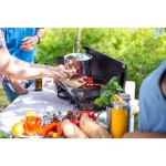 KUHALNIK PRIMUS ALIKA STOVE - slika 28