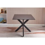 Kuhinjska jedilna miza ALEN . Kuhinjska jedilna miza ALEN je primerna za vsako jedilnico, saj bo s svojim elegantnom izgledom vnesla svežino v vsak prostor.