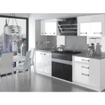 Polepšajte svojo kuhinjo z modernim kuhinjskim blokom JURIJ 120 v visokem sijaju. Dobavljiv je v več različnih barvah kuhinjskih elementov. Delovni