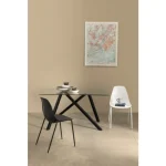 Kuhinjski stol IRI z . Kuhinjski stol IRI z ima noge iz jekla, naslonjalo in sedalni del pa sta plastična. Material: - Jeklo - Plastika Barva: - Bela