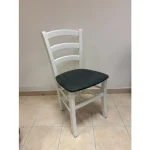 Kuhinjski stol VENEZIA bela . Kuhinjski stol VENEZIA bela je izdelan iz kakovostnega masivnega bukovega lesa, ki zagotavlja stabilnost in trpežnost. Na voljo