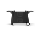 LETNA KUHINJA COZZE MIZA ZA NAMIZNE ŽARE 800 90534