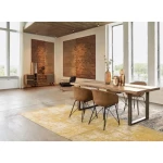 Miza NOTTINGHAM 220X100 . Miza NOTTINGHAM 220X100 je elegantna miza, ki popestri vsak prostor. Mizna plošča je narejena iz akacijevega lesa, z kovinskimi