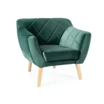 Naslonjač KATJANA 2 . Naslonjač KATJANA 2 z nežnimi šivi in modernim značajem, je kakovosten kos pohištva, ki popestri vaš prostor. Narejen je iz