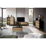 Nizka vitrina LANASA,  je eleganten kos pohištva, ki popestri vaš prostor. Njen poseben dizajn vas bo navdušil, saj prinese vašemu prostoru eleganco in