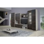 Omara LEONIDA . Omara LEONIDA je zelo elegantna in stabilna. Primerna je za vsako dnevno sobo. Korpus omare ja v barvi svetlega hrasta, fronta pa je v barvi