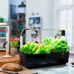 PAMETNI CVETLIČNI LONEC TREGREN T12 ČRN KUHINJSKI VRTIČEK - slika 6