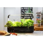 PAMETNI CVETLIČNI LONEC TREGREN T12 ČRN KUHINJSKI VRTIČEK - slika 7