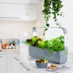 PAMETNI CVETLIČNI LONEC TREGREN T12 SIV KUHINJSKI VRTIČEK - slika 6