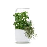 PAMETNI CVETLIČNI LONEC TREGREN T3 BEL KUHINJSKI VRTIČEK - slika 6