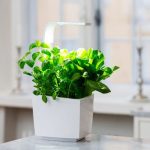 PAMETNI CVETLIČNI LONEC TREGREN T3 BEL KUHINJSKI VRTIČEK - slika 7