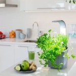 PAMETNI CVETLIČNI LONEC TREGREN T3 SIV KUHINJSKI VRTIČEK - slika 5