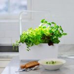 PAMETNI CVETLIČNI LONEC TREGREN T6 BEL KUHINJSKI VRTIČEK - slika 7